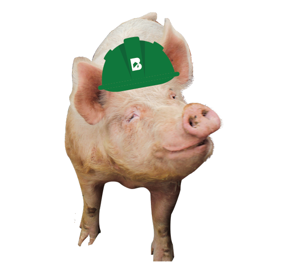 Oinked!PigCutout_small.png